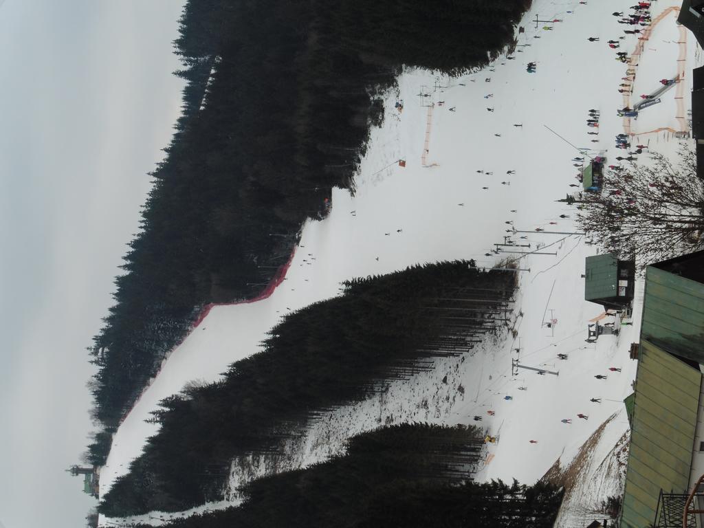 Jako Doma Albrechtice v Jizerskych horach Buitenkant foto
