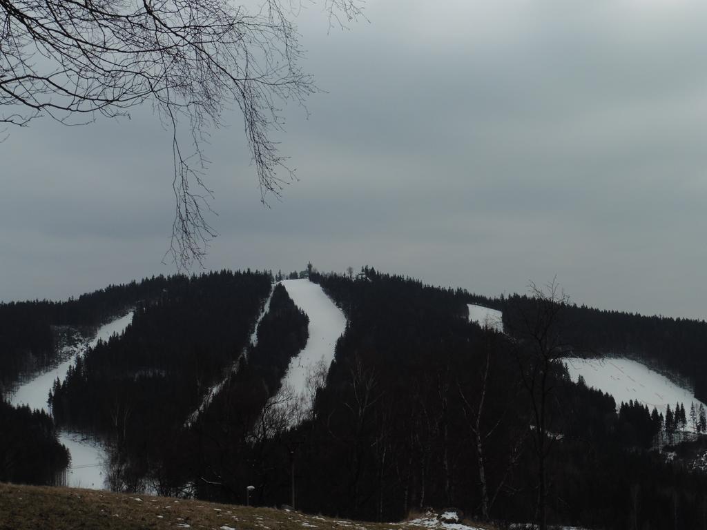 Jako Doma Albrechtice v Jizerskych horach Buitenkant foto